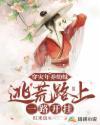 慢穿灾难逃荒