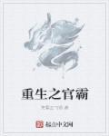 重生之官场风暴