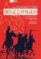钢铁是怎样炼成的人物关系