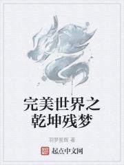 完美世界经典版乾坤套装属性