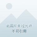 囚爱恶魔的弃妇番外