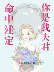 命中注定是你的妻