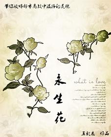 永生花是什么做的