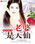 我的绝美女神老婆一笔