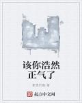 浩然正气是什么意思?