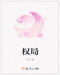 权局警运登天