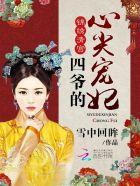 四爷的心尖宠宠妃