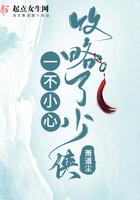 一不小心多攻略了几个